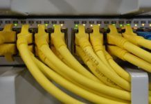 Network Cables connected to a Switch
