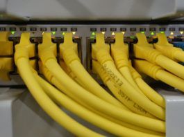 Network Cables connected to a Switch