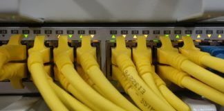 Network Cables connected to a Switch