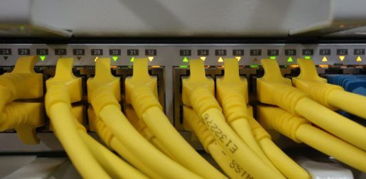 Network Cables connected to a Switch