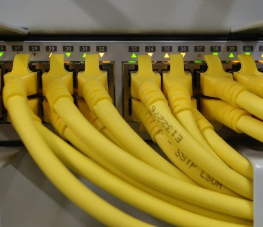 Network Cables connected to a Switch